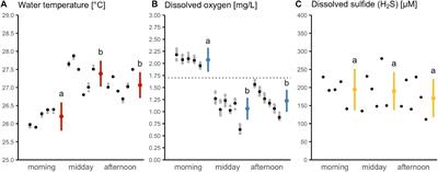 Diurnal Changes in Hypoxia Shape Predator-Prey Interaction in a Bird-Fish System